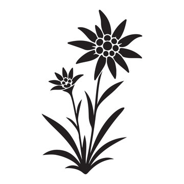 Alpine Wildflowers vector silhouette illustration concept design set collection