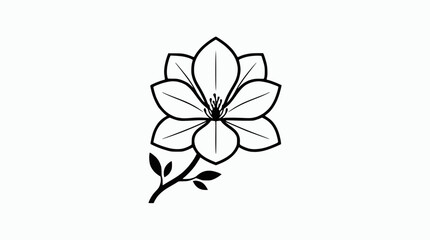 Minimalist outline drawing of a magnolia flower with leaves on a white background. © illustration