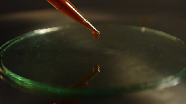 LSD in liquid dropped from pipette to glass surface, used in dance clubs and party. Lysergic acid diethylamide known as LSD and contain hallucinogens. LSD controlled substances and illegal.