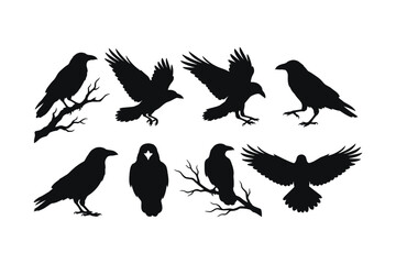 Fototapeta premium Collection of black crow silhouettes as spooky halloween elements design