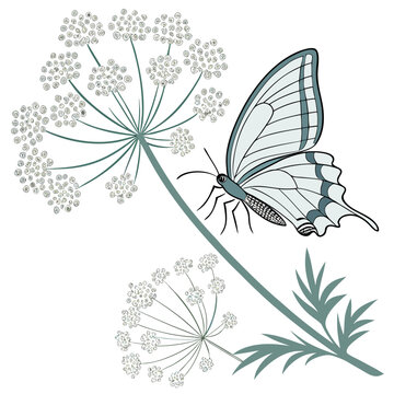 Butterfly on umbellifer plant stylized line art illustration with butterfly