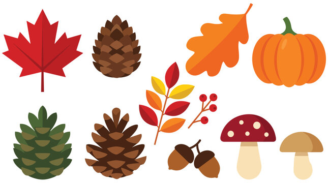 Autumn Harvest Elements Set with Colorful Leaves, Pumpkins, Pine Cones, Mushrooms, and Acorns on White Background