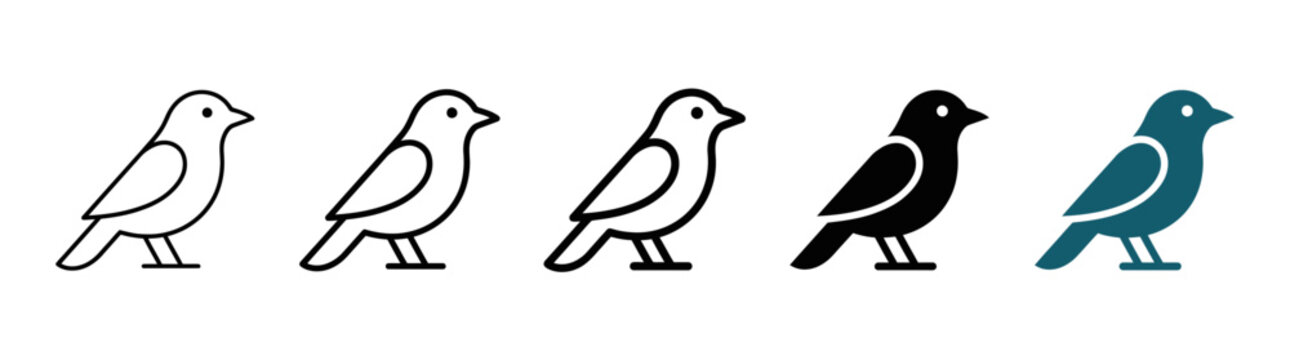 Set of five simple bird icons: outline, filled, and colored styles