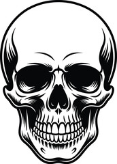 Fototapeta premium Vintage human skull vector, anatomical head illustration, black and white icon