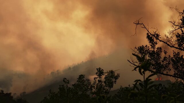 Massive clouds of orange smoke rising from a raging forest wildfire. A firefighting airplane dropping water, to extinguish the dangerous flames