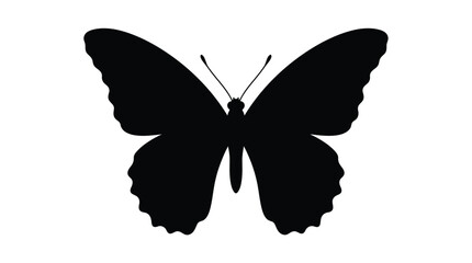 Black butterfly silhouette against a white background silhouette © Saifasafa