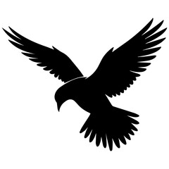 Fototapeta premium Black dove flying downward. Silhouette of a bird in flight, isolated on white background.