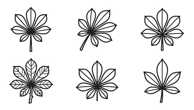 Set of horse chestnut leaf silhouettes designed with clear black lines on a white background chestnut botanical illustration minimalist collection decoration ornament stylized isolated