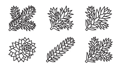 Fototapeta premium Set of coniferous tree branches and pinecones outline illustration with coniferous botanical evergreen woodland seasonal holidays decoration illustration minimalist monochrome isolated