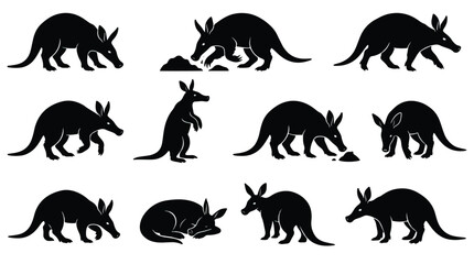 Fototapeta premium Kangaroo and wallaby wildlife icon set. Various poses including standing, grazing, sitting, and resting. Flat black vector silhouettes for educational materials.