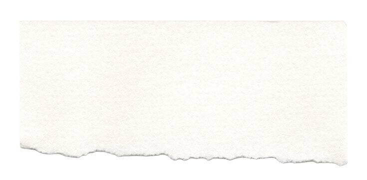 Fibrous deckle margins surround handmade paper with an uneven outline, an isolated artist sheet for watercolor fragments collage edges stationery layers pulp references and tactile arrangements