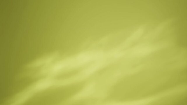 A Plain Solid Colored Background Soft Leaf Shadows on Solid Yellow Wall Background With Copy Space For Minimalist Design And Modern Interior Aesthetic