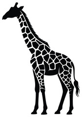 Giraffe Silhouette Against White Background Black And White Animal Shape © MDHASAN