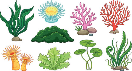 Marine vegetation collection with diverse green seaweed pink branching corals aquatic algae and sea anemone isolated on a white background © MdSaddam
