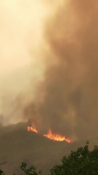 Thick smoke billows from a wildfire raging on a hillside. Flames consume the trees, creating a huge column of smoke and pollution