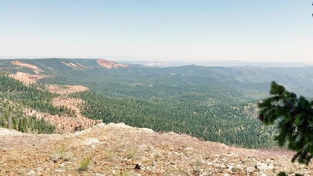 🏔️ Majestic Utah Panorama: Slow Motion First-Person Reveal Behind Pine Branches
