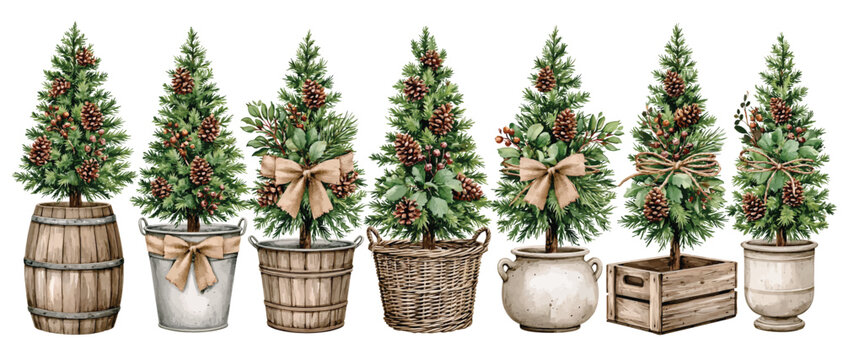 Collection of watercolor potted Christmas trees in wooden barrels, buckets and crates on white background