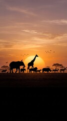 African Wildlife Safari Sunset Silhouette © Abeer