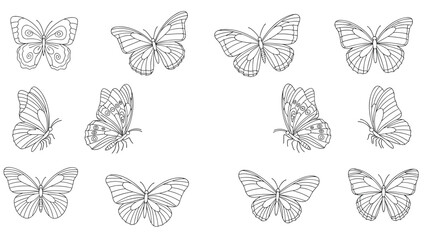Fototapeta premium Detailed line art illustrations of various butterflies in different flight positions for coloring books or nature themed designs.