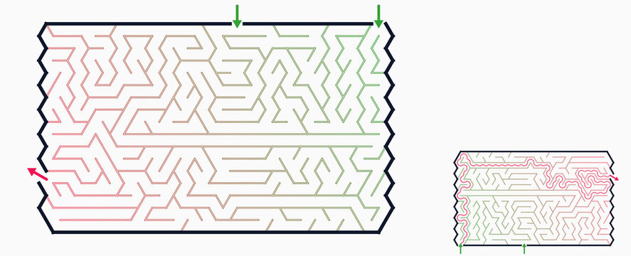 Maze design with intricate pathways and two-dimensional layout  