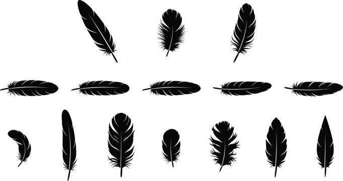 Black feather silhouette elements collection different shapes bird quill set for wing angel tattoo bohemian decoration retro pattern design on white background