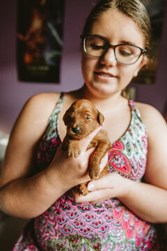 Tween Girl Holding Newborn Puppy