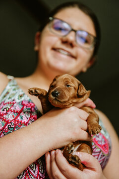 Young Girl Holding Adorable Newborn Puppy