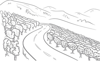 Fototapeta premium Un dibujo a mano de un camino sinuoso que pasa a través de filas de vides en un paisaje de viñedos montañosos escénicos.