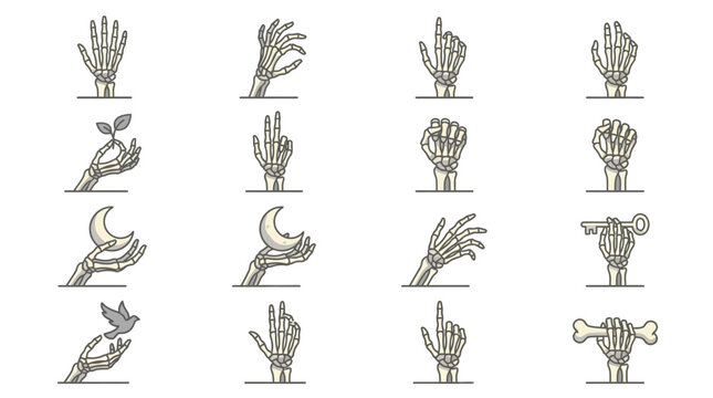 Skeleton hands holding magical and natural objects.