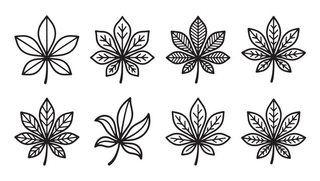 Set of hand drawn horse chestnut leaf icons with chestnut botanical handdrawn illustration isolated collection monochrome ornament decorative environment structure silhouette
