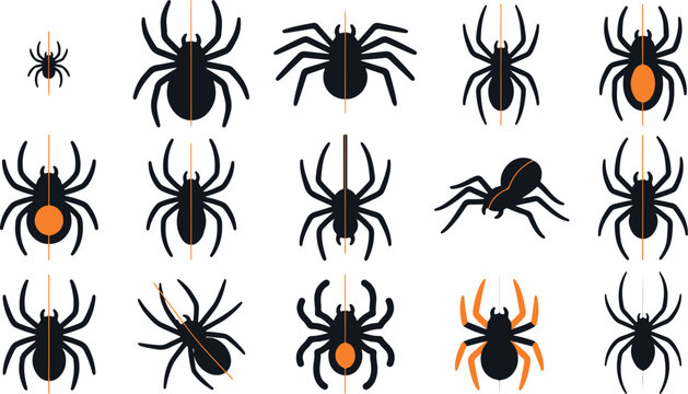 Collection of various black spider silhouettes and icons isolated on a white background for halloween design projects