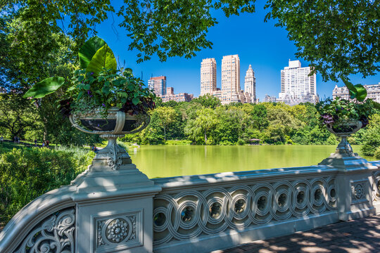 view of Central Park West from the Bow Bridge