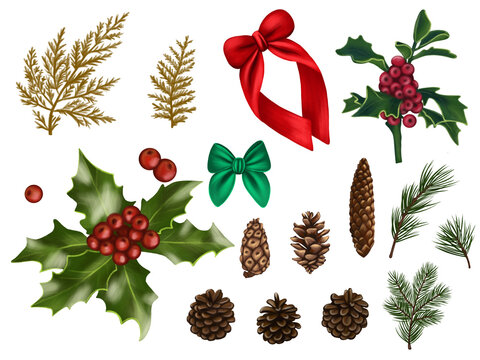 Set with Christmas elementals. Cones, Christmas tree branches, thuja and holly are beautiful illustrations on a transparent background that will be great for Postcard, Print