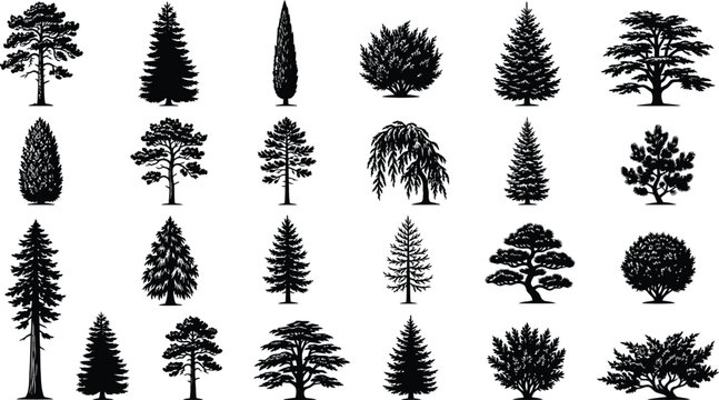 Evergreen Tree Silhouette Collection Botanical Forest Vector Design Elements Illustration Set