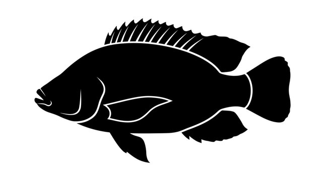 Black tilapia fish silhouette icon on white background.