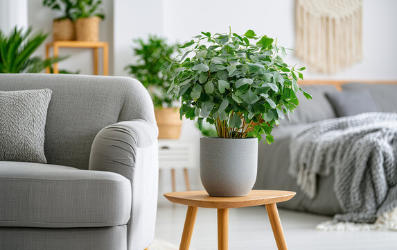 Potted green plant enhances cozy bedroom decor with natural light and minimalist furniture