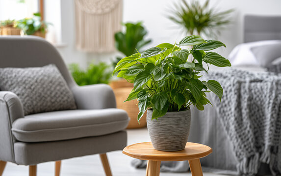 Potted green plant enhances cozy bedroom decor with natural light and minimalist furniture