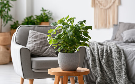 Potted green plant enhances cozy bedroom decor with natural light and minimalist furniture