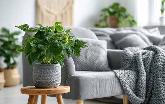 Potted green plant enhances cozy bedroom decor with natural light and minimalist furniture