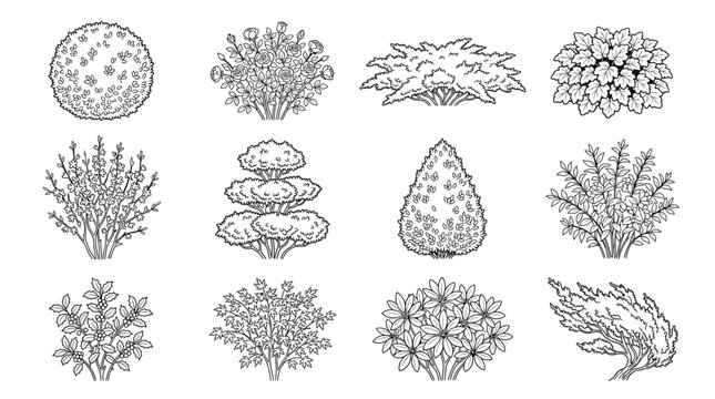 Set of various garden bushes and shrubs