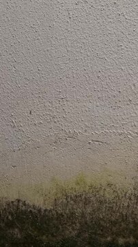 Weathered stucco wall texture