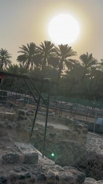 Sunset over ancient stone ruins and palm trees at an archaeological excavation site.