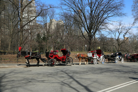 Carriage waiting, New York