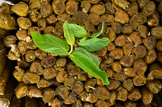 Stuffed grape leaves (dolma) with fresh mint garnish