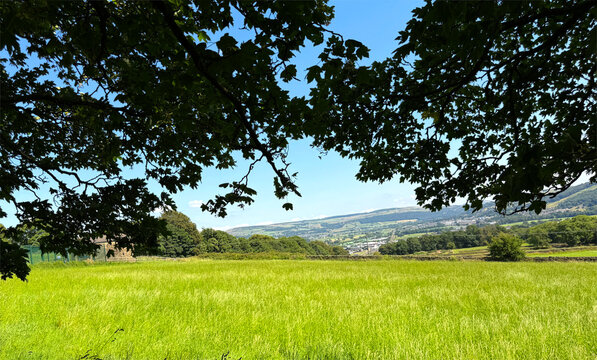 A lush green meadow sprawls beneath a bright blue sky, framed by leafy branches. In the distance, gentle rolling hills and a peaceful valley unfold near Glusburn, Keighley, UK.