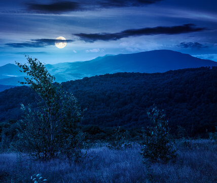 tree on a field in mountain landscape at night. full moon over green countryside of ukraine in summer. cloudy weather. carpathian landscape in dappled light. mysterious carpathian highland