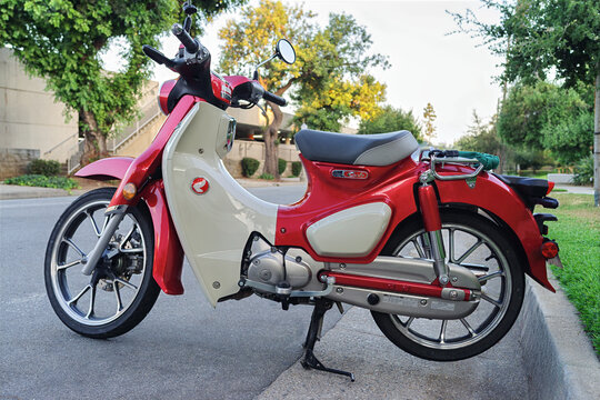 Honda Super Cub motocycle parked on a street, Pasadena, California.