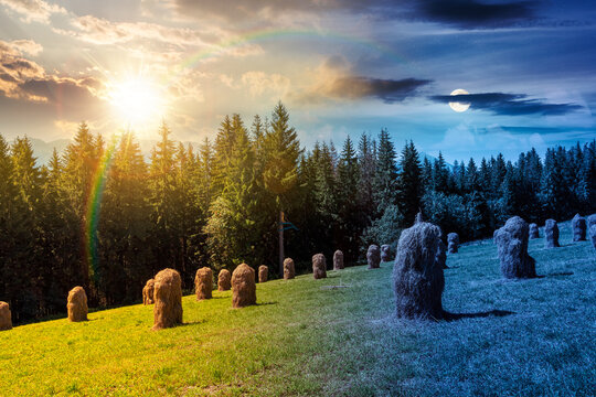 rural landscape with coniferous forest on a green hill. day meet night. sun and moon over spruce trees on grassy meadow in tatra mountains at twilight. summer solstice in poland. astrology wallpaper