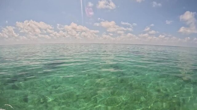 Exploring Tropical Waters by Boat