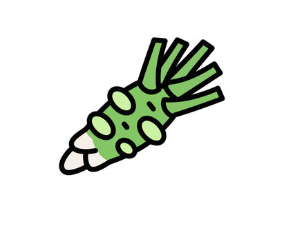 Fresh Wasabi Root Icon, Japanese Condiment, Food Ingredient, Isolated
